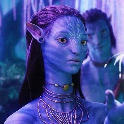 巴哥黑胡子爆料视频大全